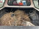 Thumbnail '6' of Toyota Hilux SR5 TD DC
