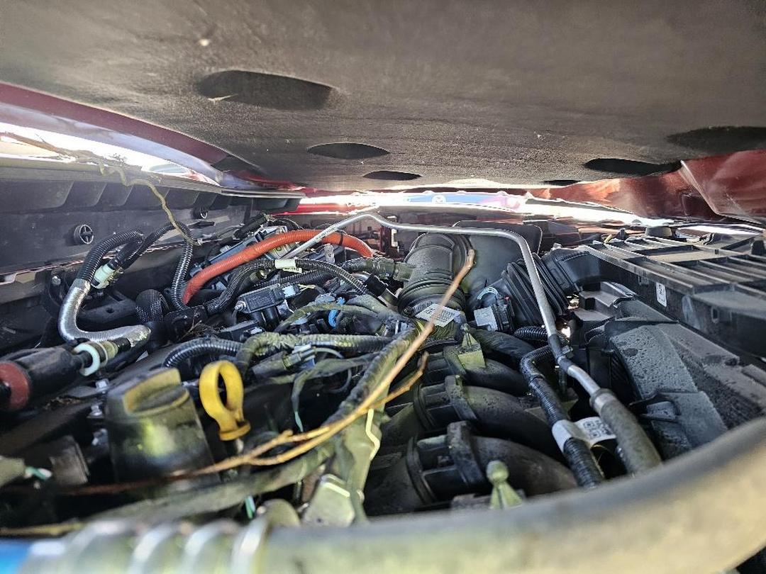 Photo '14' of Ford Escape Titanium