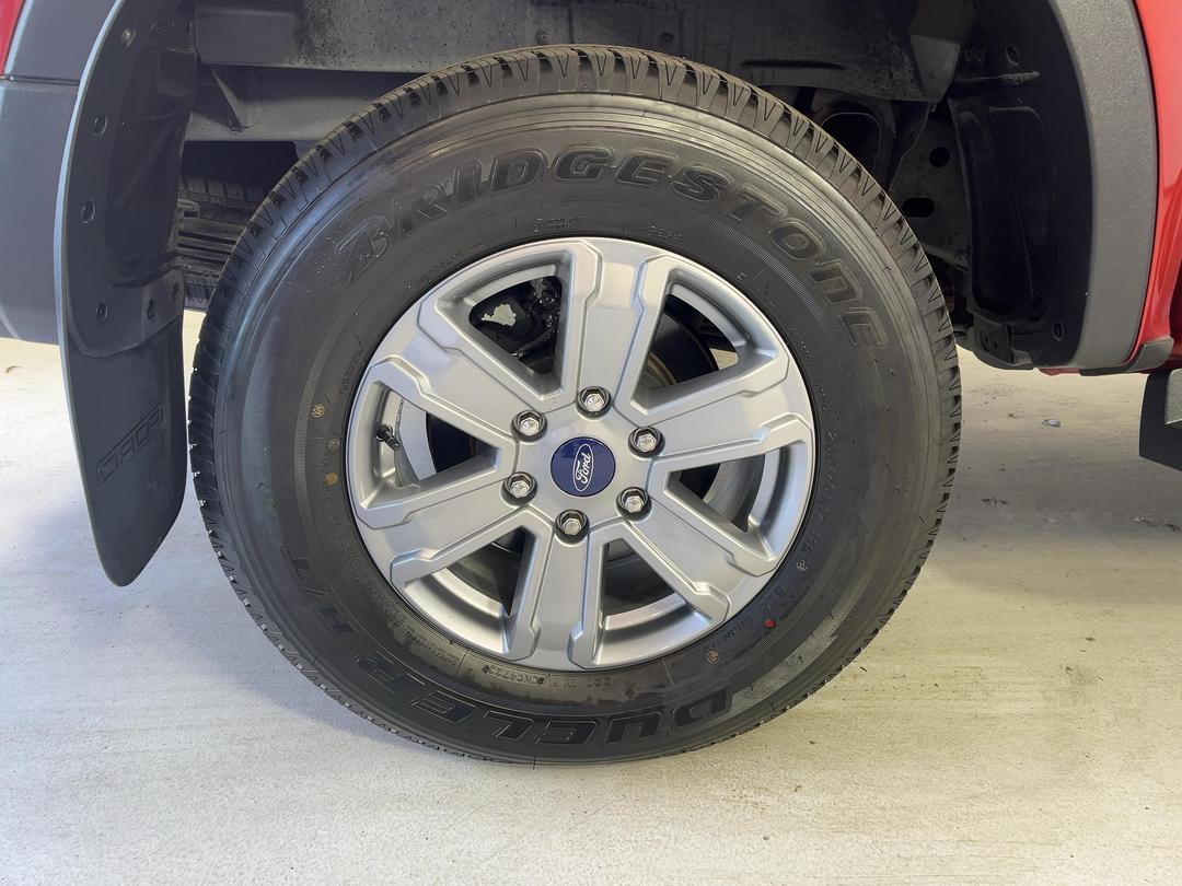 Photo '12' of Ford Ranger