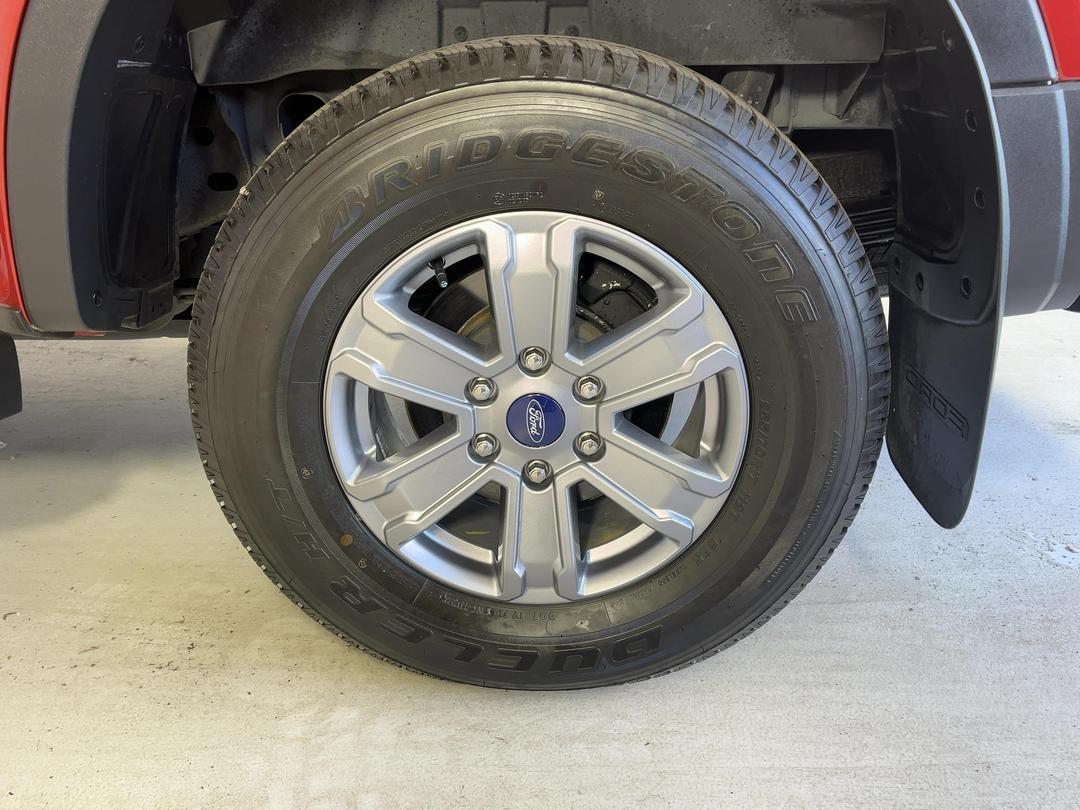 Photo '11' of Ford Ranger