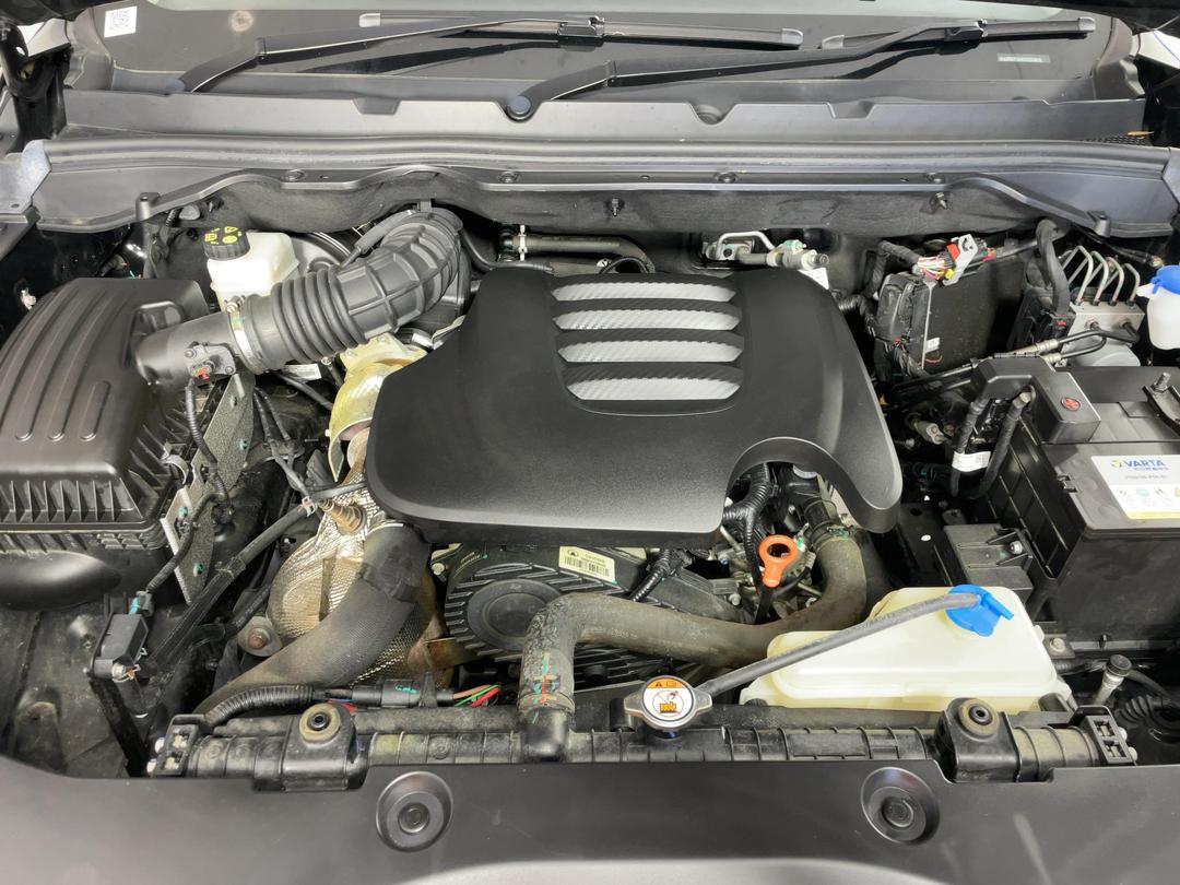 Photo '13' of GWM Cannon