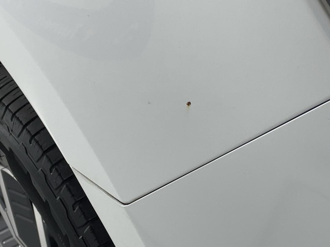 Photo '23' of Isuzu D-MAX