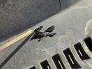 Thumbnail '20' of Toyota Camry GX