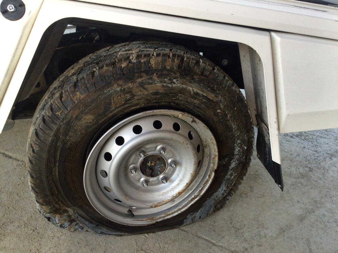 Photo '11' of Ford Ranger XL Sing/CAB Chassis