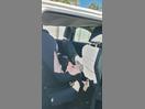 Thumbnail '9' of Ford Ranger XLT Double CAB W/SA