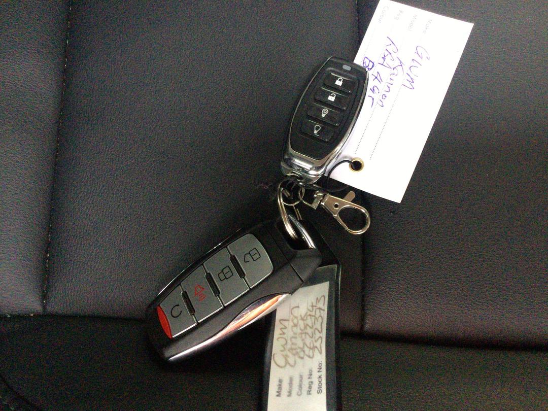 Photo '15' of GWM Cannon Luxury 4X4