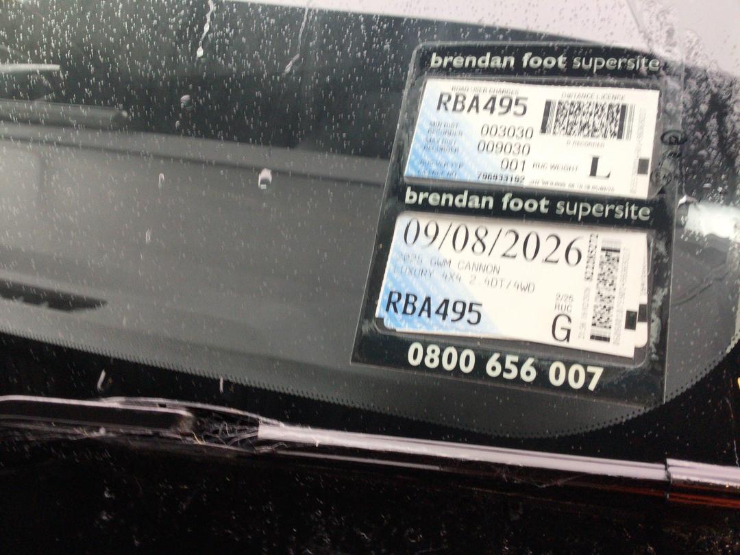 Photo '12' of GWM Cannon Luxury 4X4