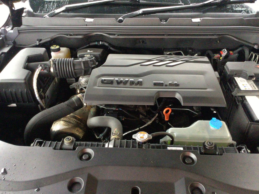 Photo '13' of GWM Cannon Luxury 4X4