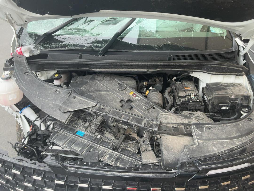 Photo '13' of KIA Carnival EX