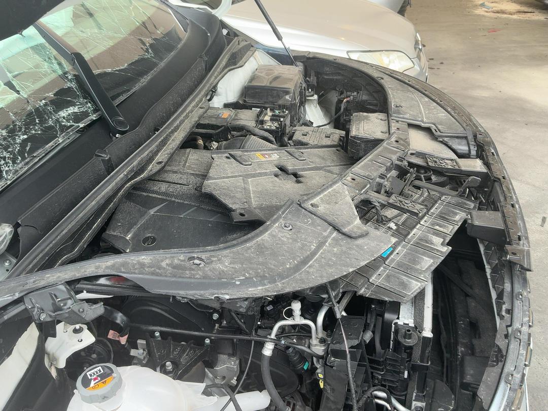Photo '15' of KIA Carnival EX