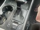 Thumbnail '25' of KIA Carnival EX
