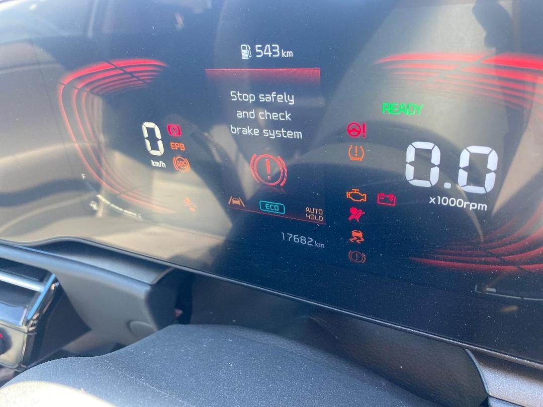 Photo '8' of KIA Niro Earth+