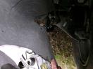 Thumbnail '26' of KIA Sorento LX+