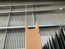 Thumbnail '4' of Internal Door Rimu Veneer H/C 1980x760x36 SQ CS