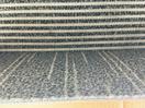 Thumbnail '4' of Euroflor Carpet Sqaures (Modelo)