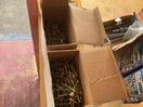 Thumbnail '11' of Selection of screws and bolts