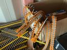 Thumbnail '5' of Selection of Collated Screws