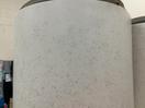 Thumbnail '1' of Eternal spec commercial vinyl