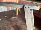 Thumbnail '3' of Sawhorse