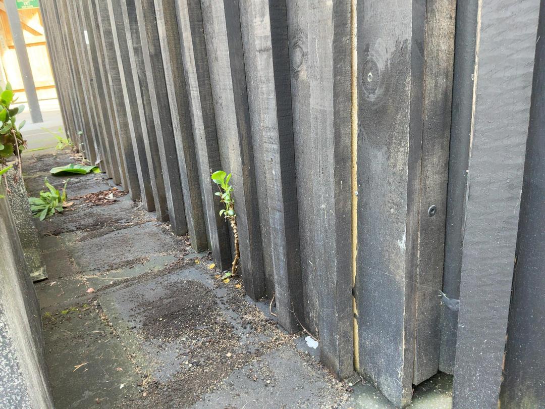 Photo '13' of 10ft Insulated Container with Cladding