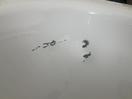 Thumbnail '12' of Damaged Betteform bath