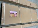 Thumbnail '5' of HB705 Series Walk-In Greenhouse