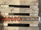 Thumbnail '2' of Stihl HSA 100 Hedge Trimmer