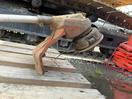 Thumbnail '2' of Stihl FSA 90R Line Trimmer