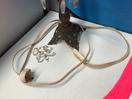 Thumbnail '7' of Miscellaneous Items - Lamp or Similar, Candle Etc