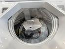 Thumbnail '6' of Fisher & Paykel 8kg Washing Machine