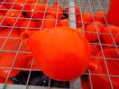 Thumbnail '7' of Cage of Assorted Buoys