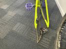 Thumbnail '3' of Focus Raven Custom Mountain Bike