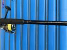 Thumbnail '3' of Eclipse 12’0 surf fishing rod and jarvis wallar reel
