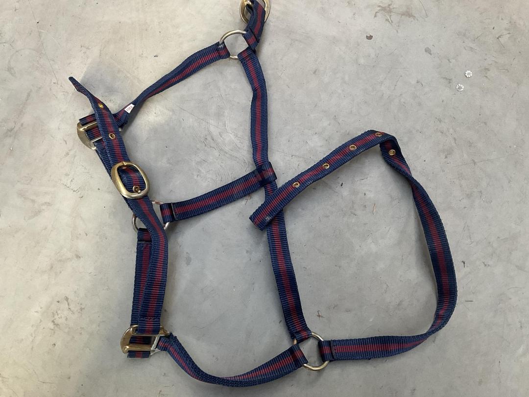 Photo '15' of Horse Equipment or Similar Etc