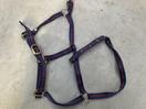 Thumbnail '15' of Horse Equipment or Similar Etc