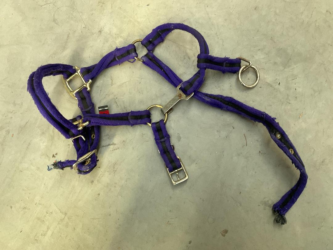 Photo '17' of Horse Equipment or Similar Etc