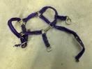 Thumbnail '17' of Horse Equipment or Similar Etc