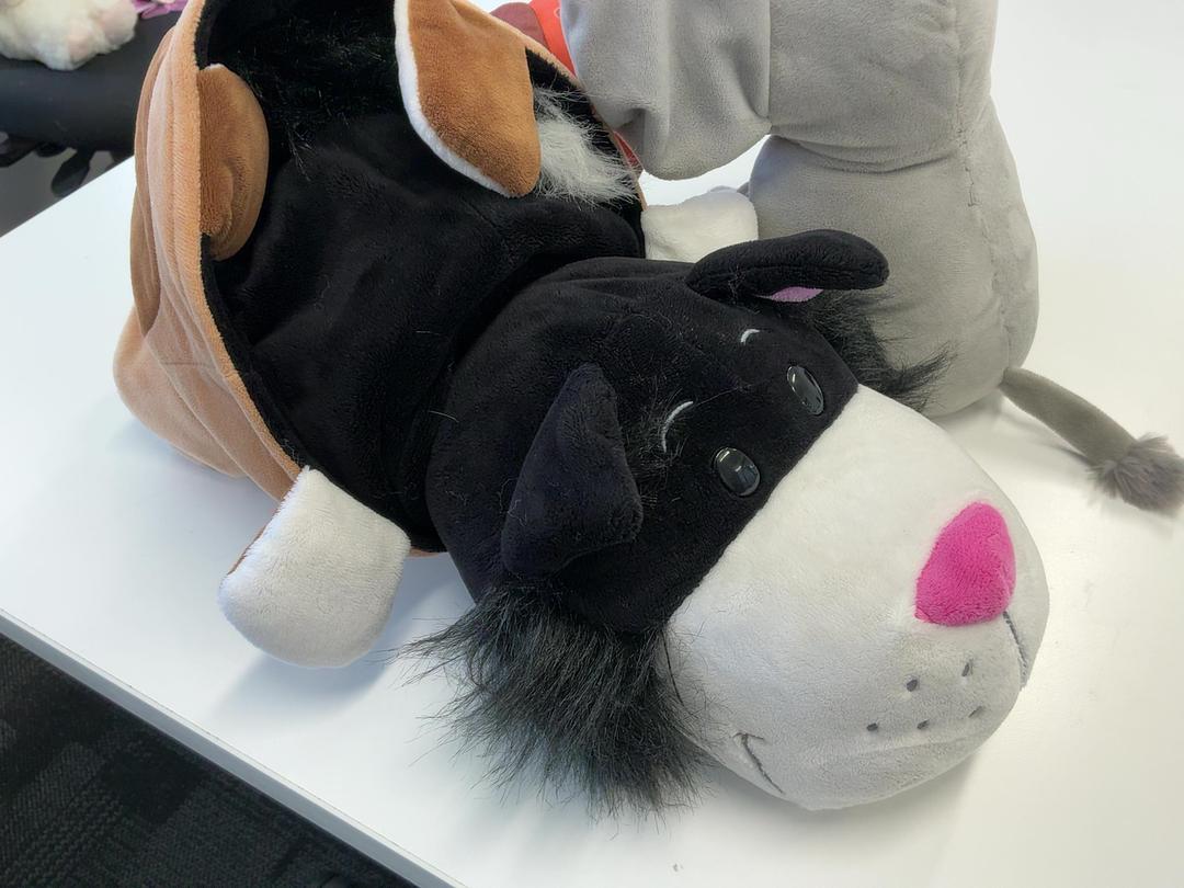 Photo '3' of Soft Toys Photo '3' of Soft Toys