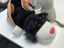 Thumbnail '3' of Soft Toys