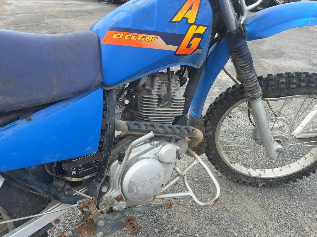 Photo '12' of Yamaha AG200